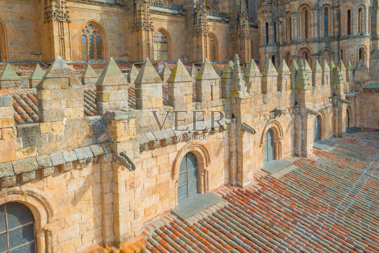 中世纪萨拉曼卡大教堂的细节照片摄影图片