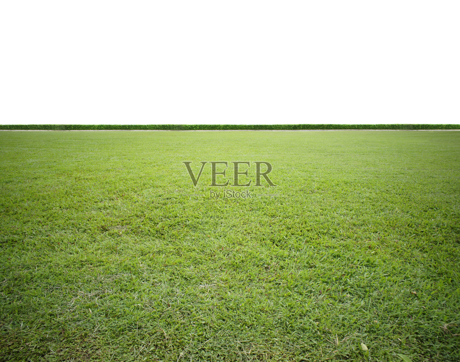 草照片摄影图片