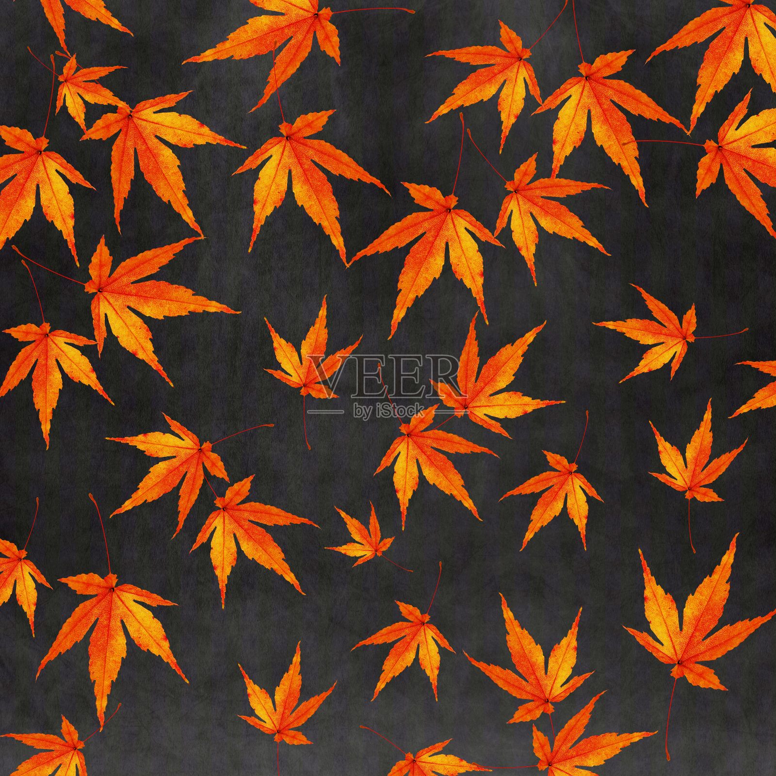 秋天照片摄影图片