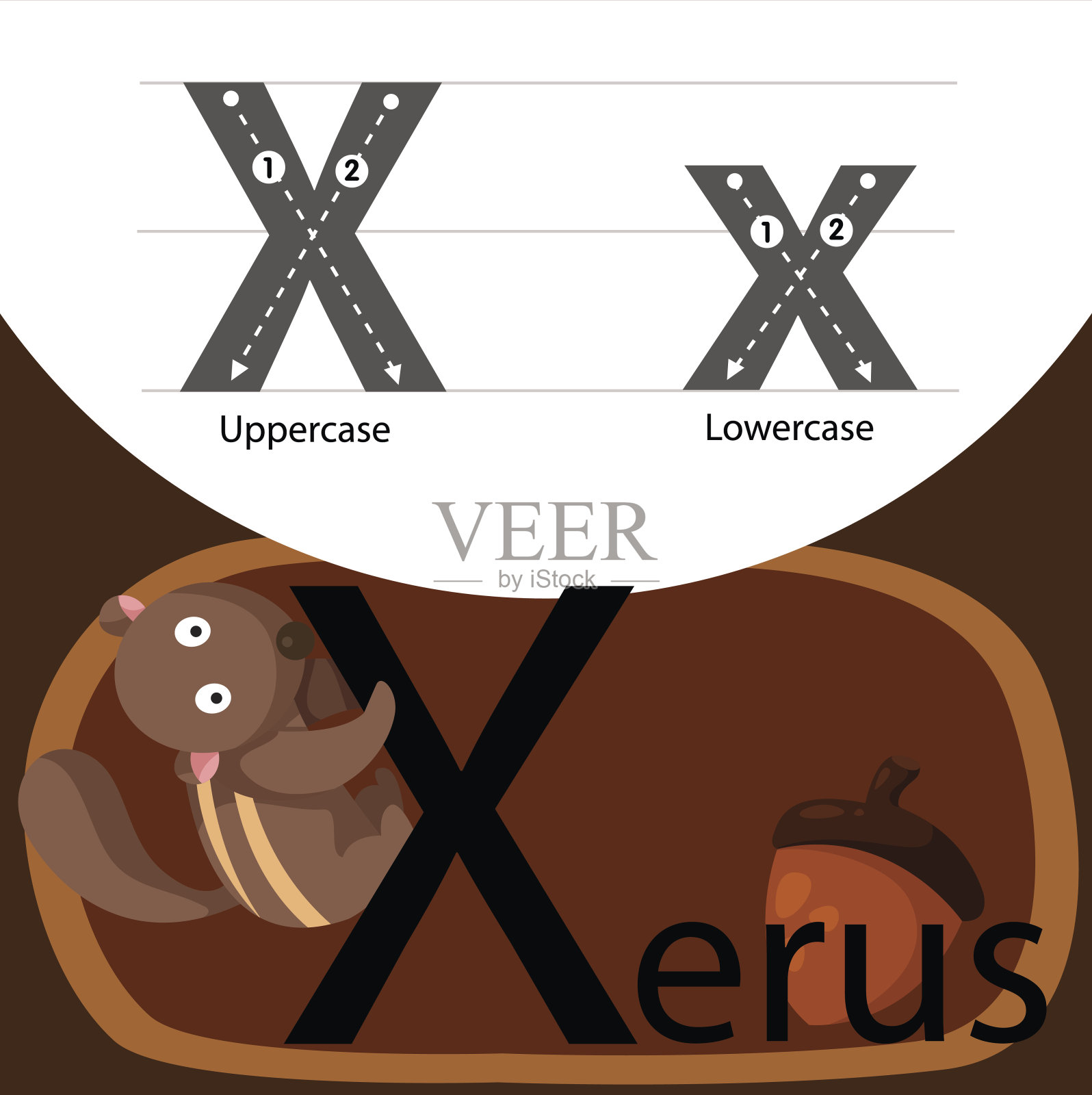 插图的xerus与x字体插画图片素材