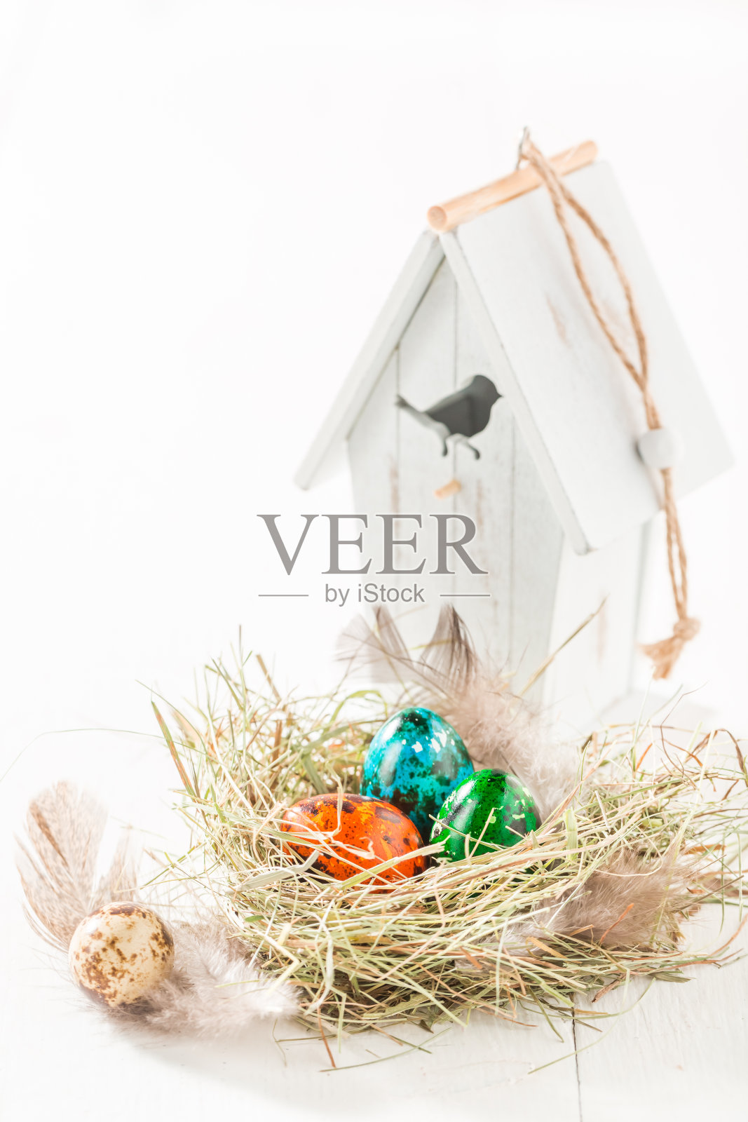 各种复活节蛋在巢和鸟屋照片摄影图片