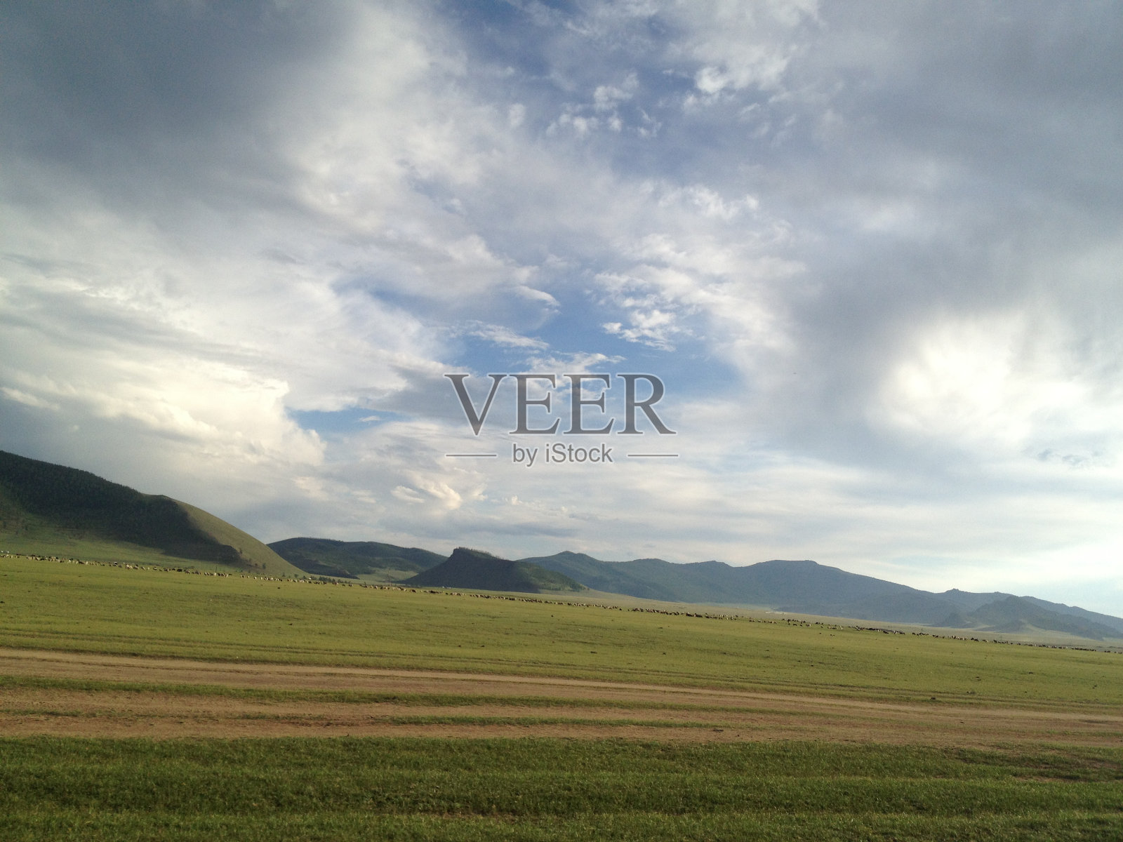 蒙古夏季草原照片摄影图片