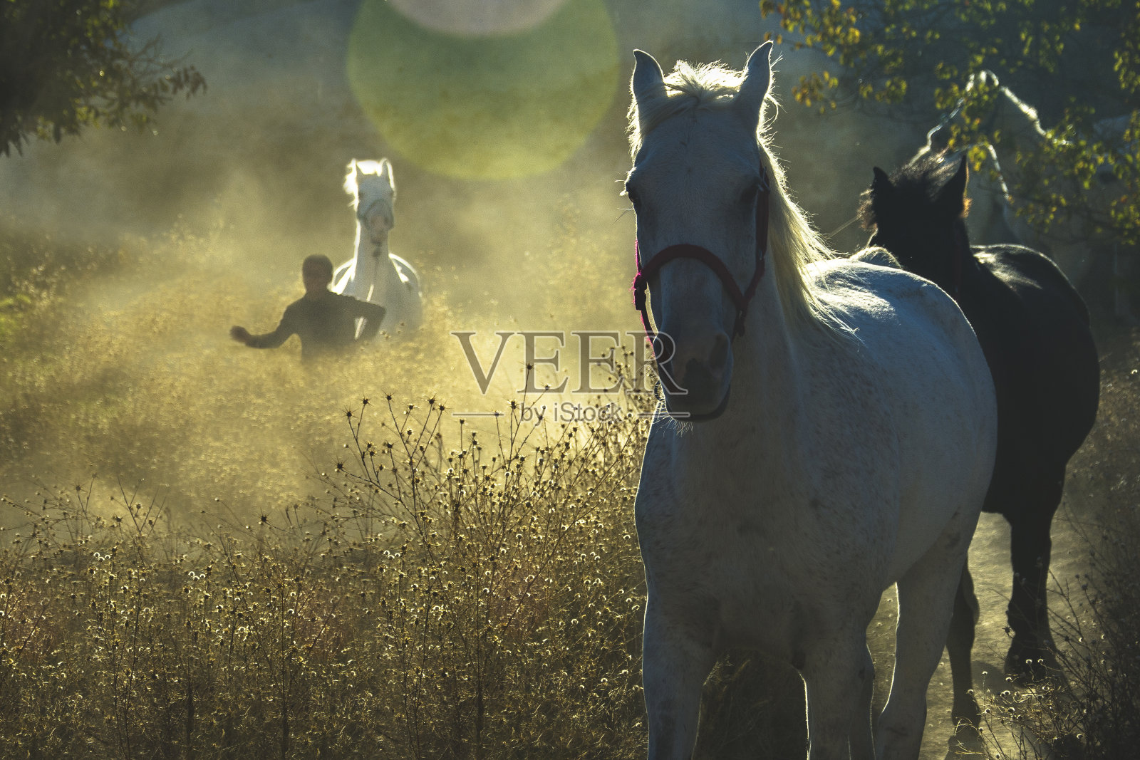 逃跑照片摄影图片