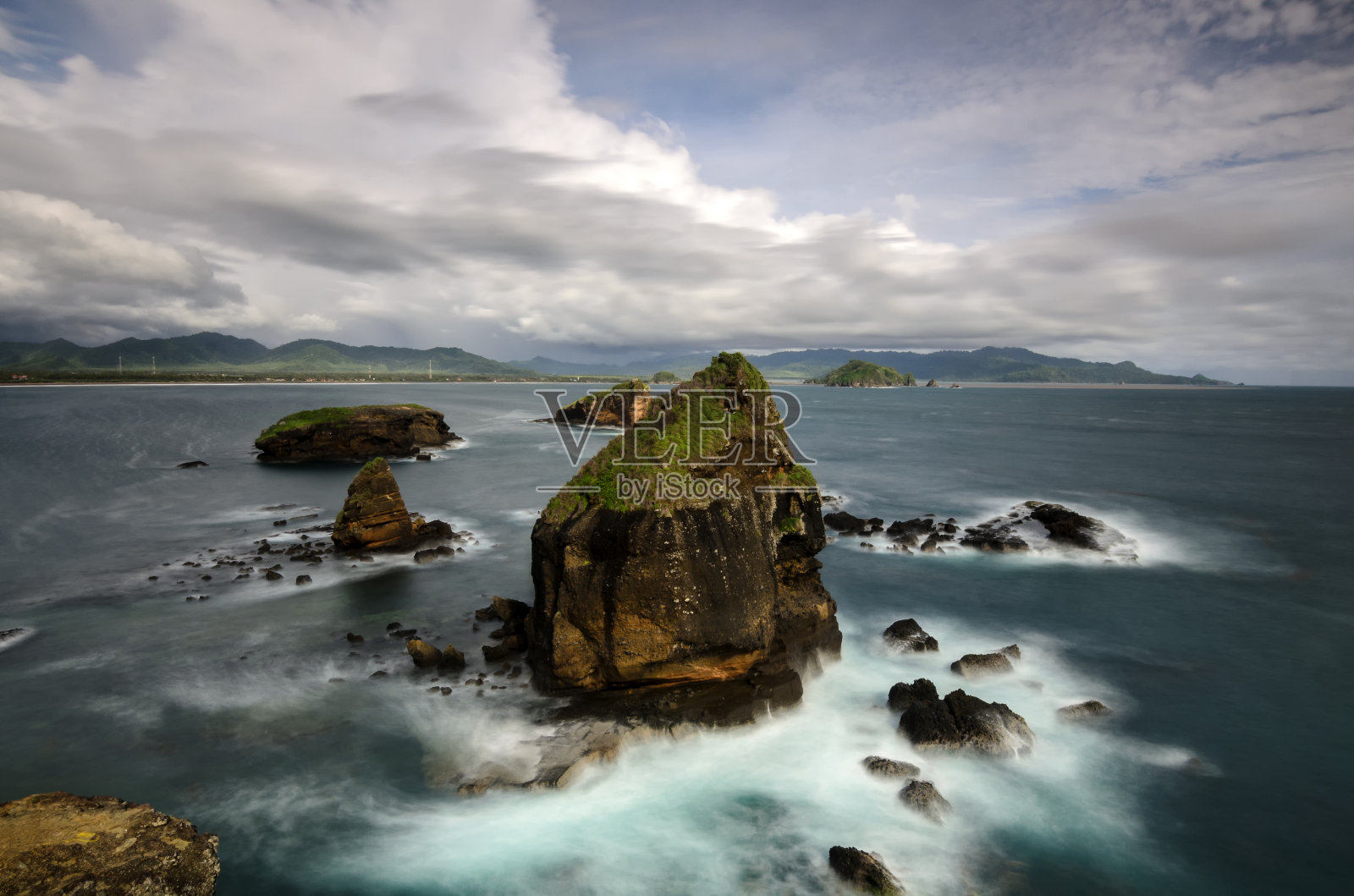 Papuma岩石松照片摄影图片