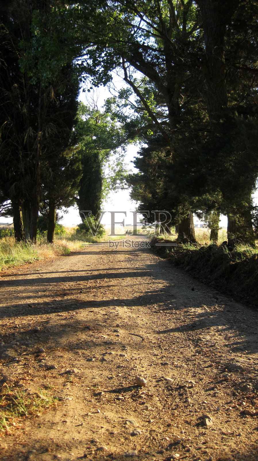 夏天的风景照片摄影图片