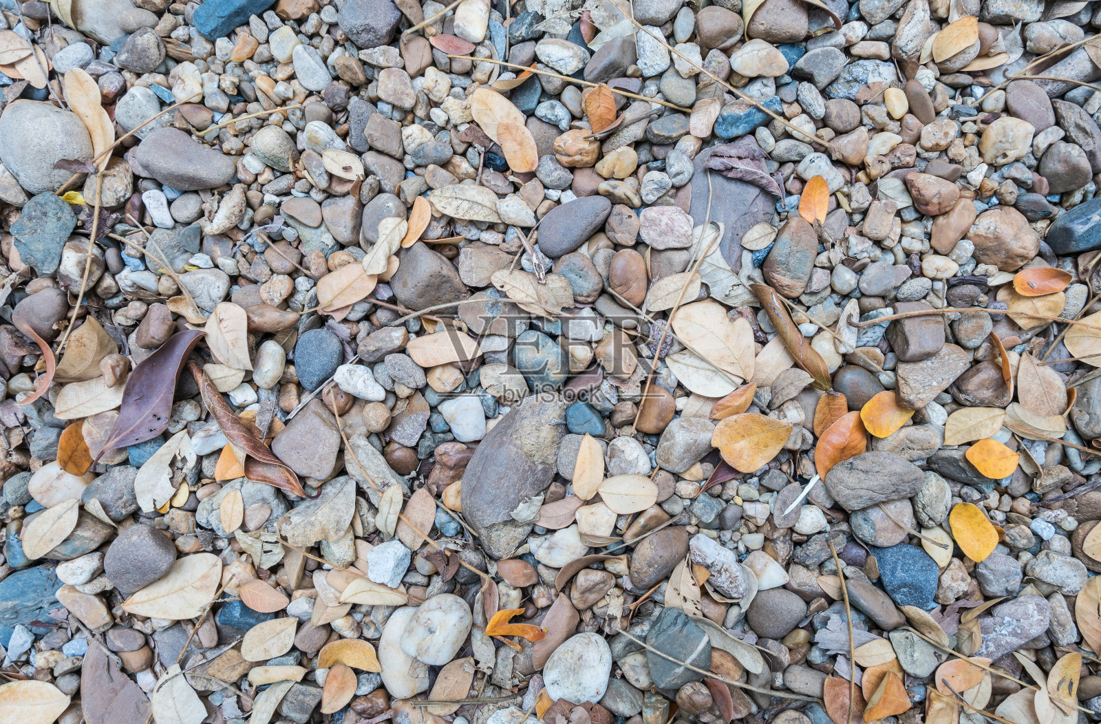 特写肮脏的石头地板与干燥的叶子纹理背景照片摄影图片