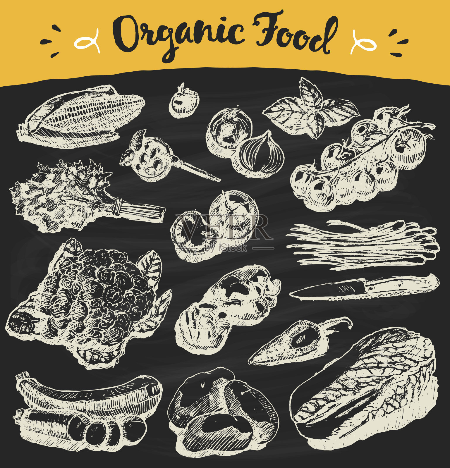 设置绘制蔬菜矢量示意图插画图片素材