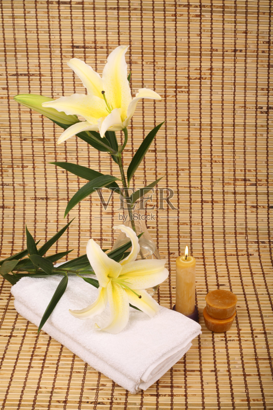 SPA莉莉照片摄影图片