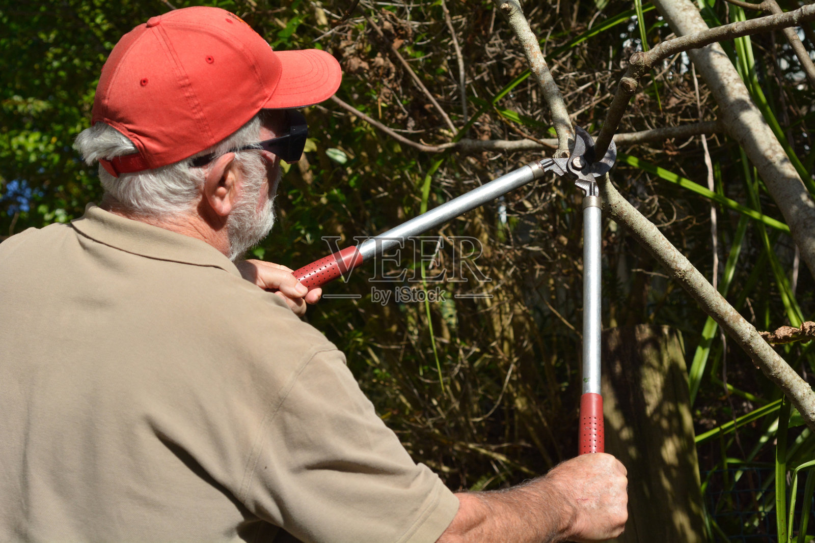 人们使用修剪树木的工具照片摄影图片