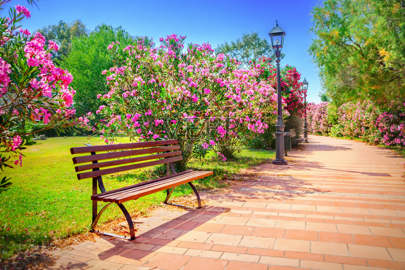 城市公园照片摄影图片