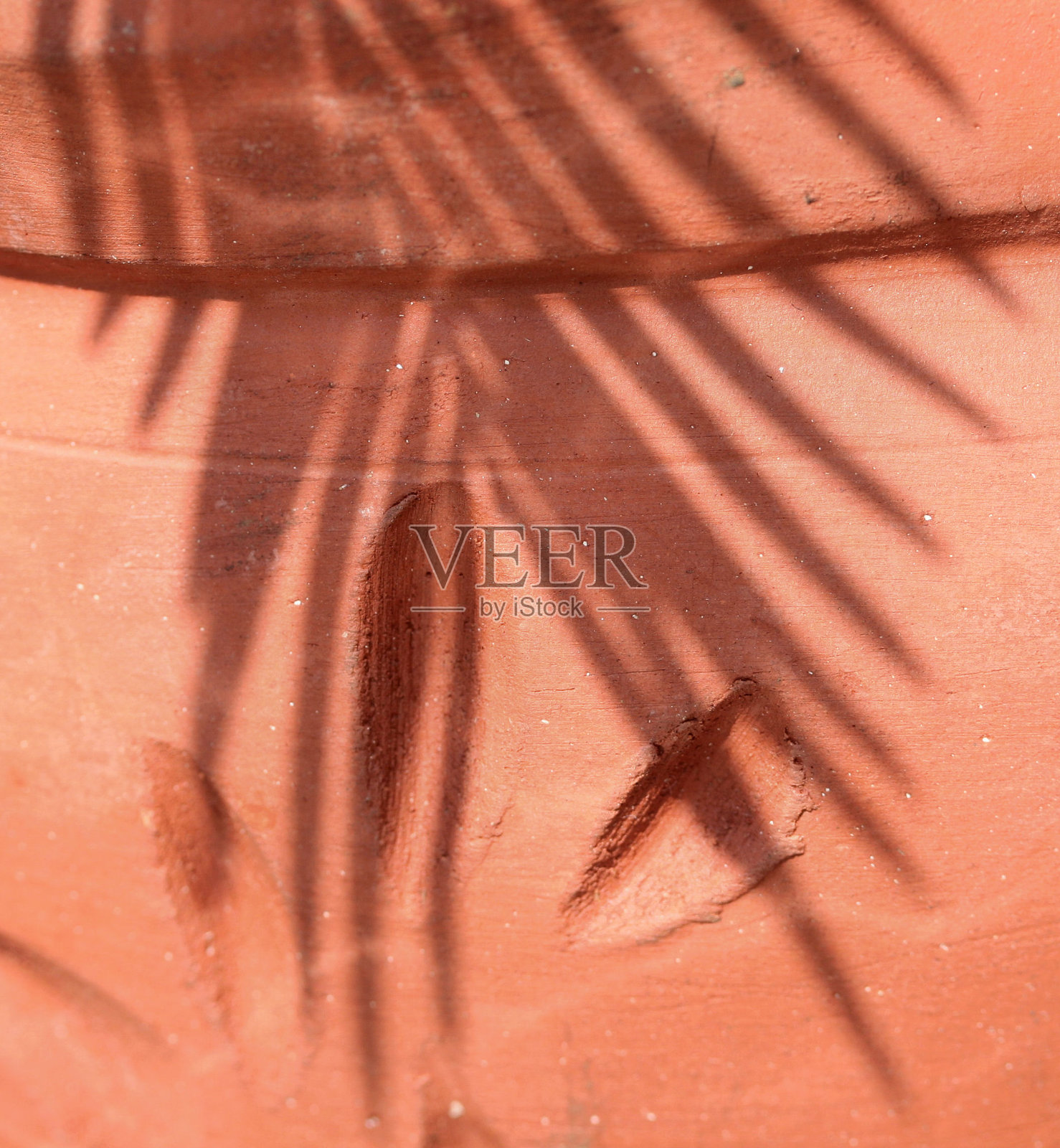 Palk在锅照片摄影图片