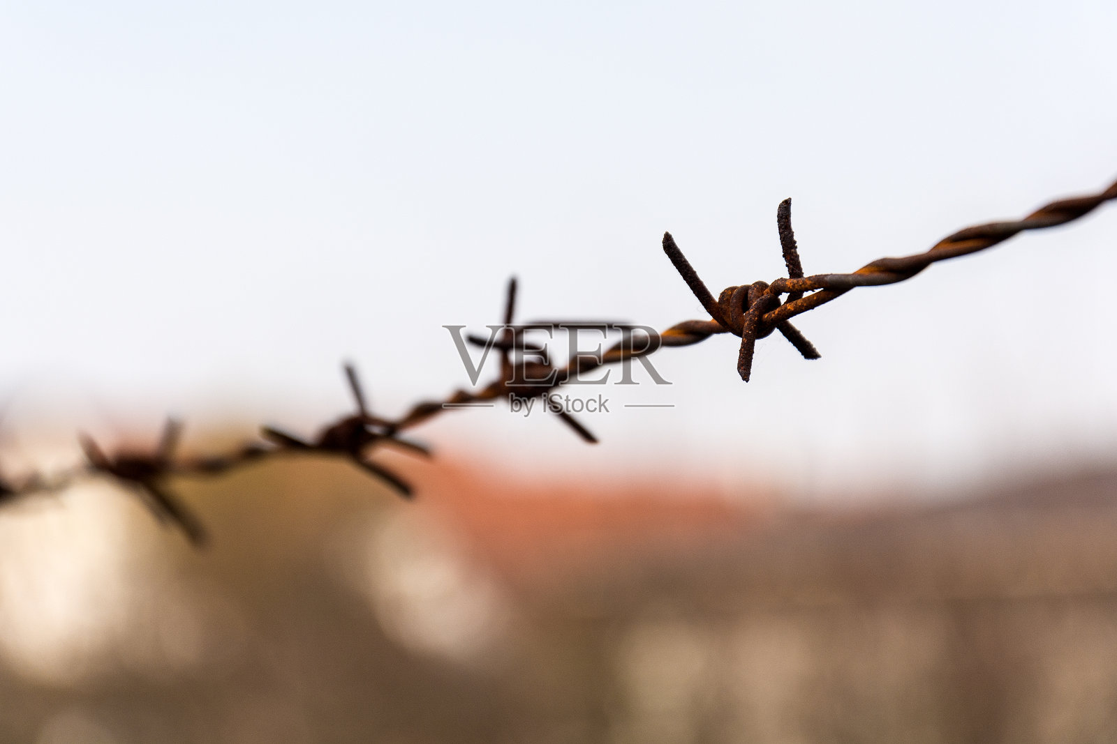 铁丝网照片摄影图片