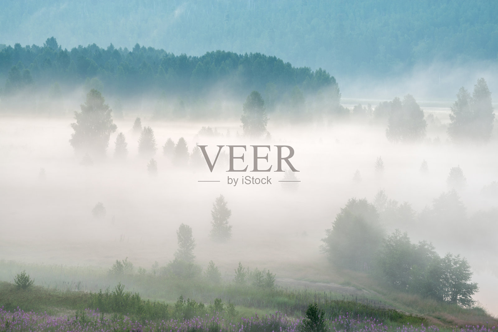 河上雾蒙蒙的黎明照片摄影图片