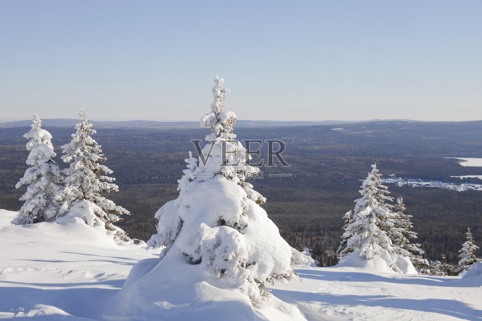 冬天的风景。山脉Zyuratkul。白雪覆盖的冷杉树照片摄影图片