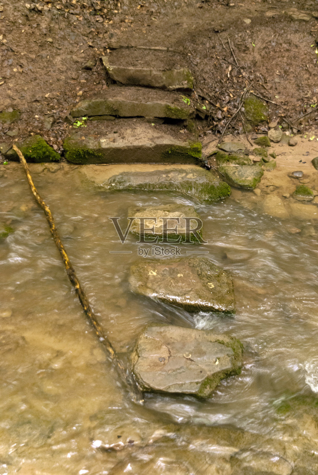 在埃菲尔施泰格徒步旅行的小路上照片摄影图片