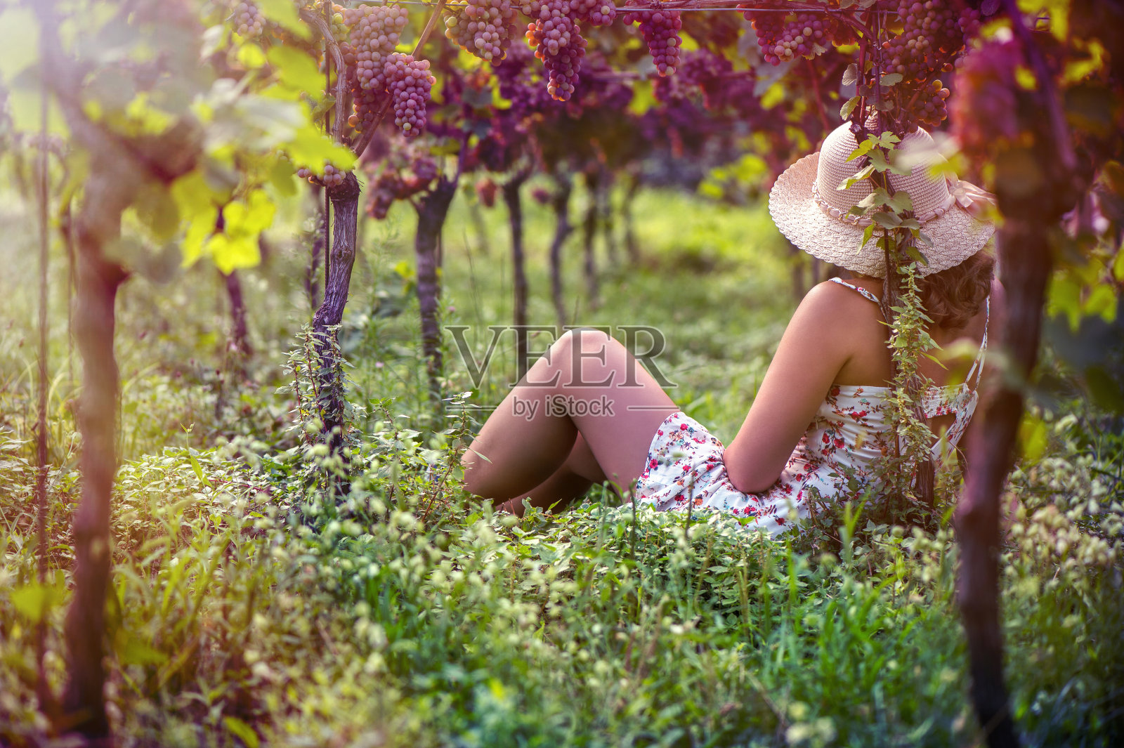 葡萄园里戴着帽子的美女照片摄影图片