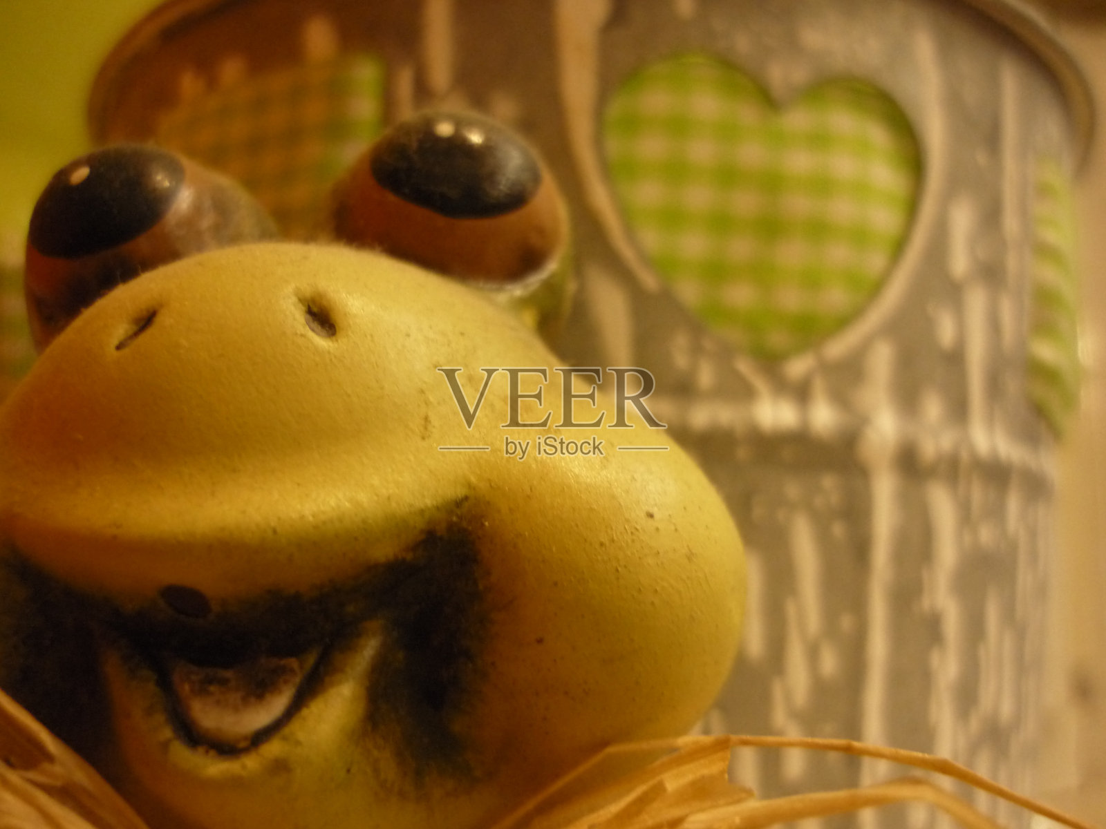 现在你可以亲吻…照片摄影图片