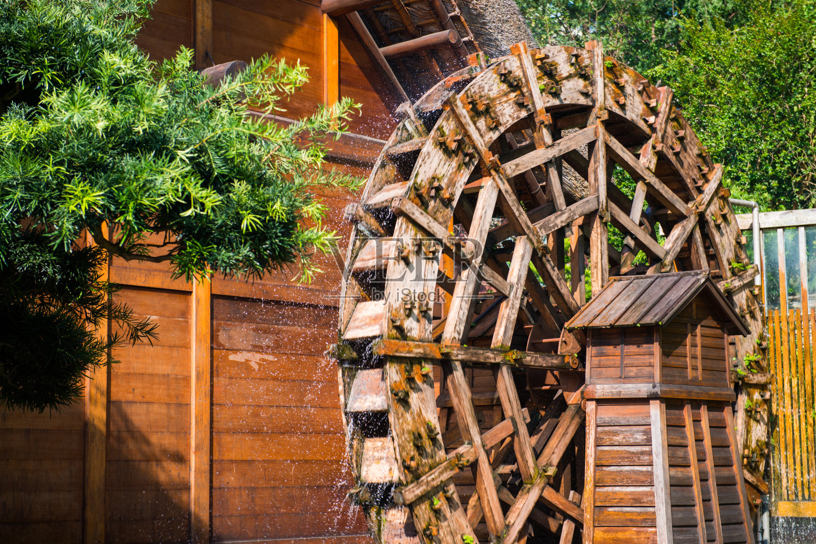 南莲花园-美丽的花园在镇上照片摄影图片