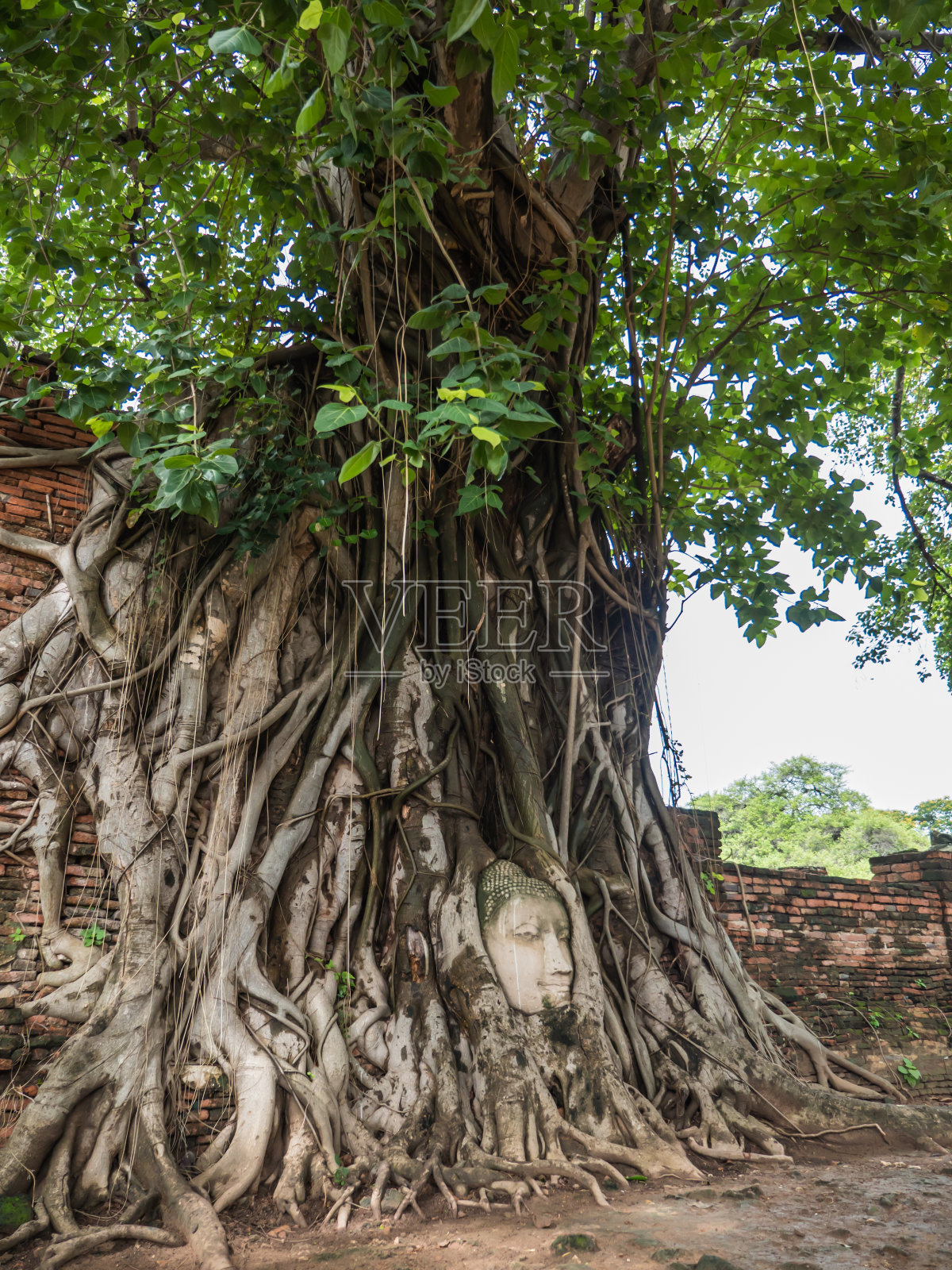 砂岩佛像的头像照片摄影图片