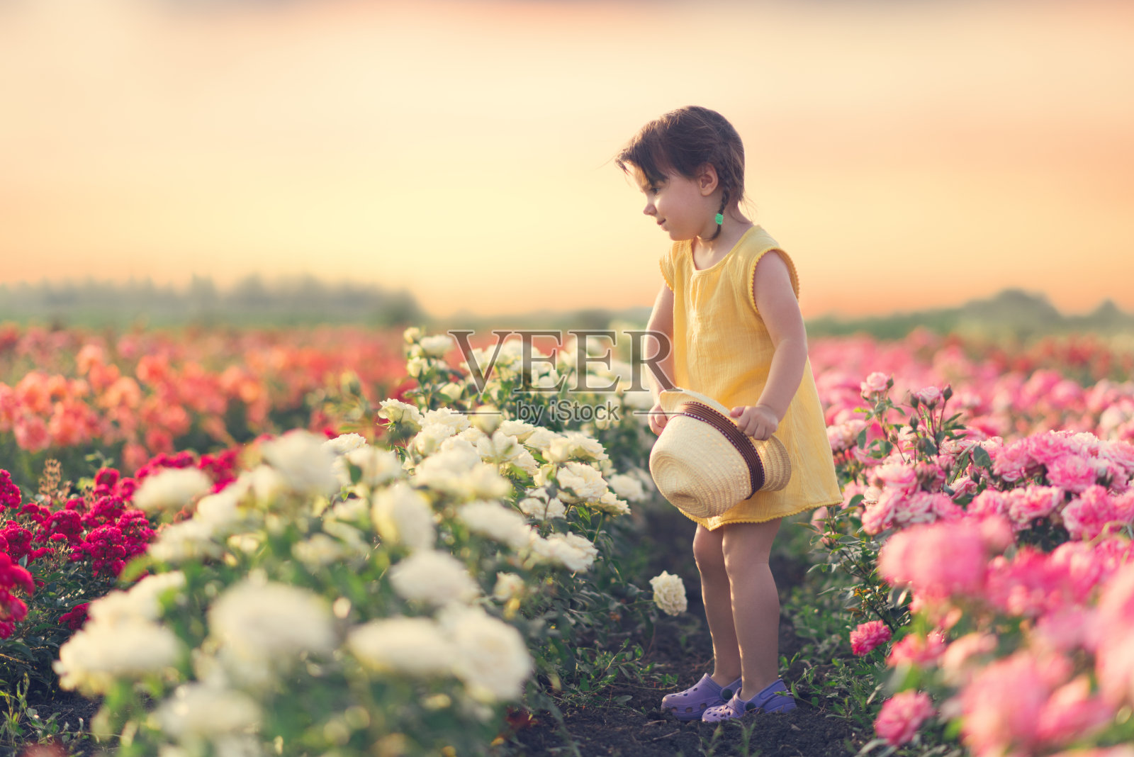 日落时分,小女孩在花地里玩耍照片摄影图片