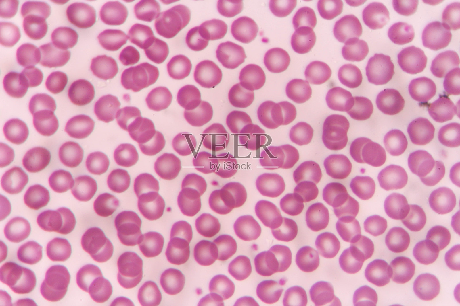 实验室照片摄影图片