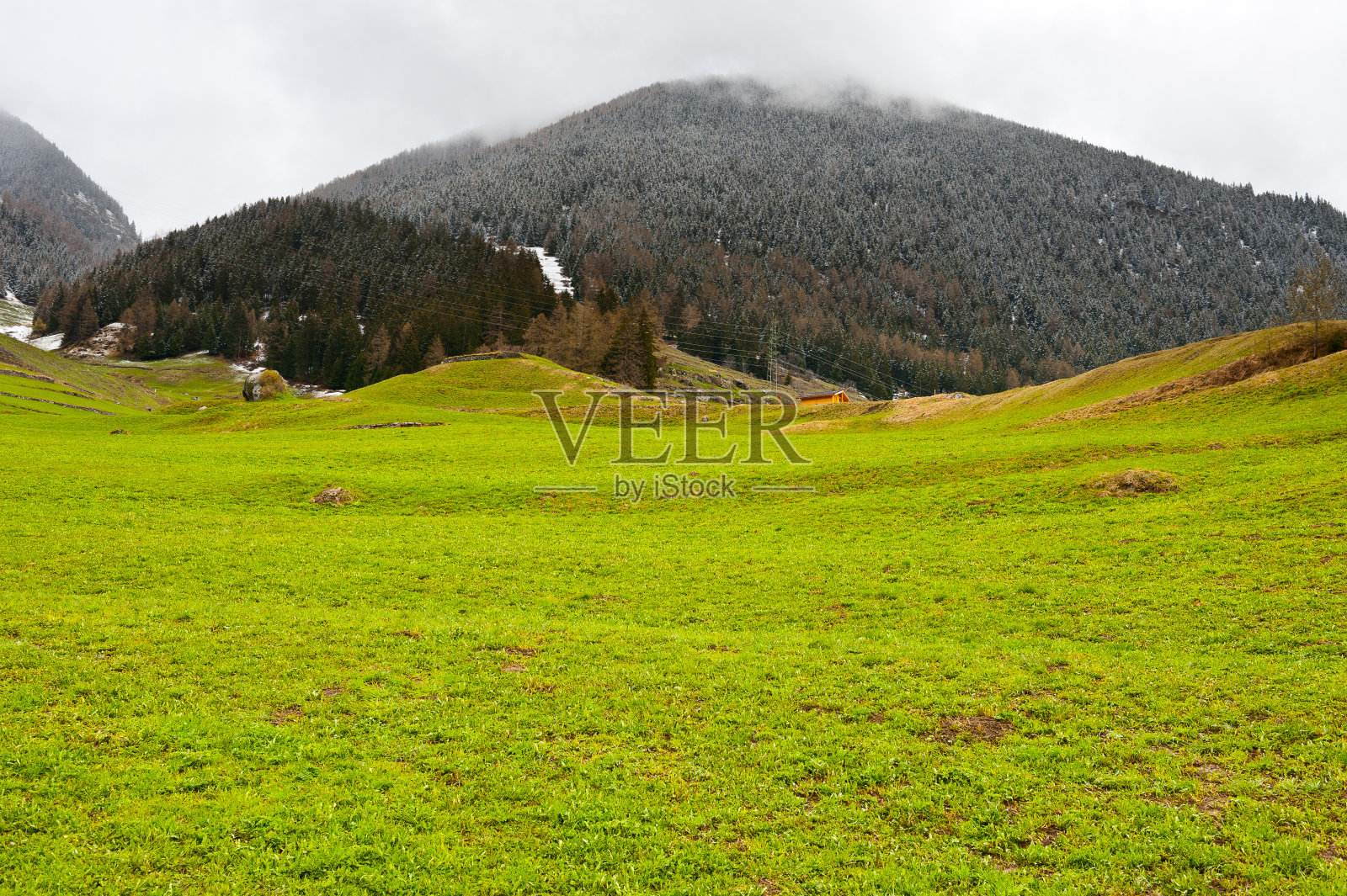 自然保护区照片摄影图片