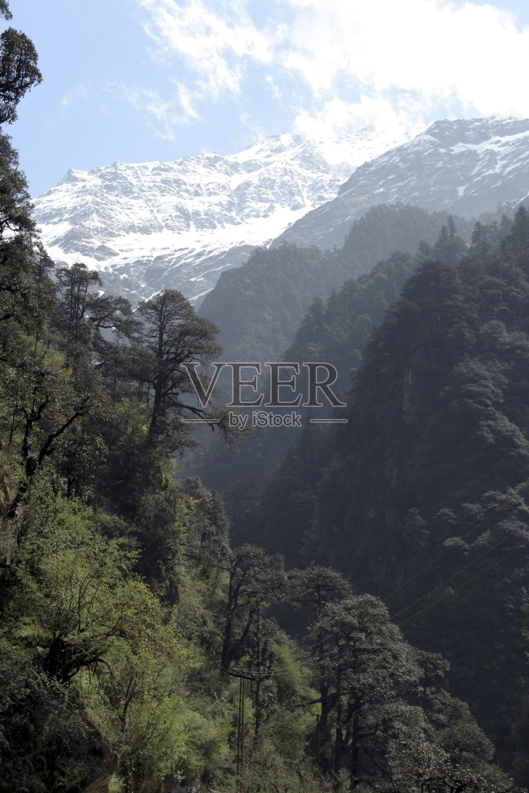绿色森林,雪山照片摄影图片