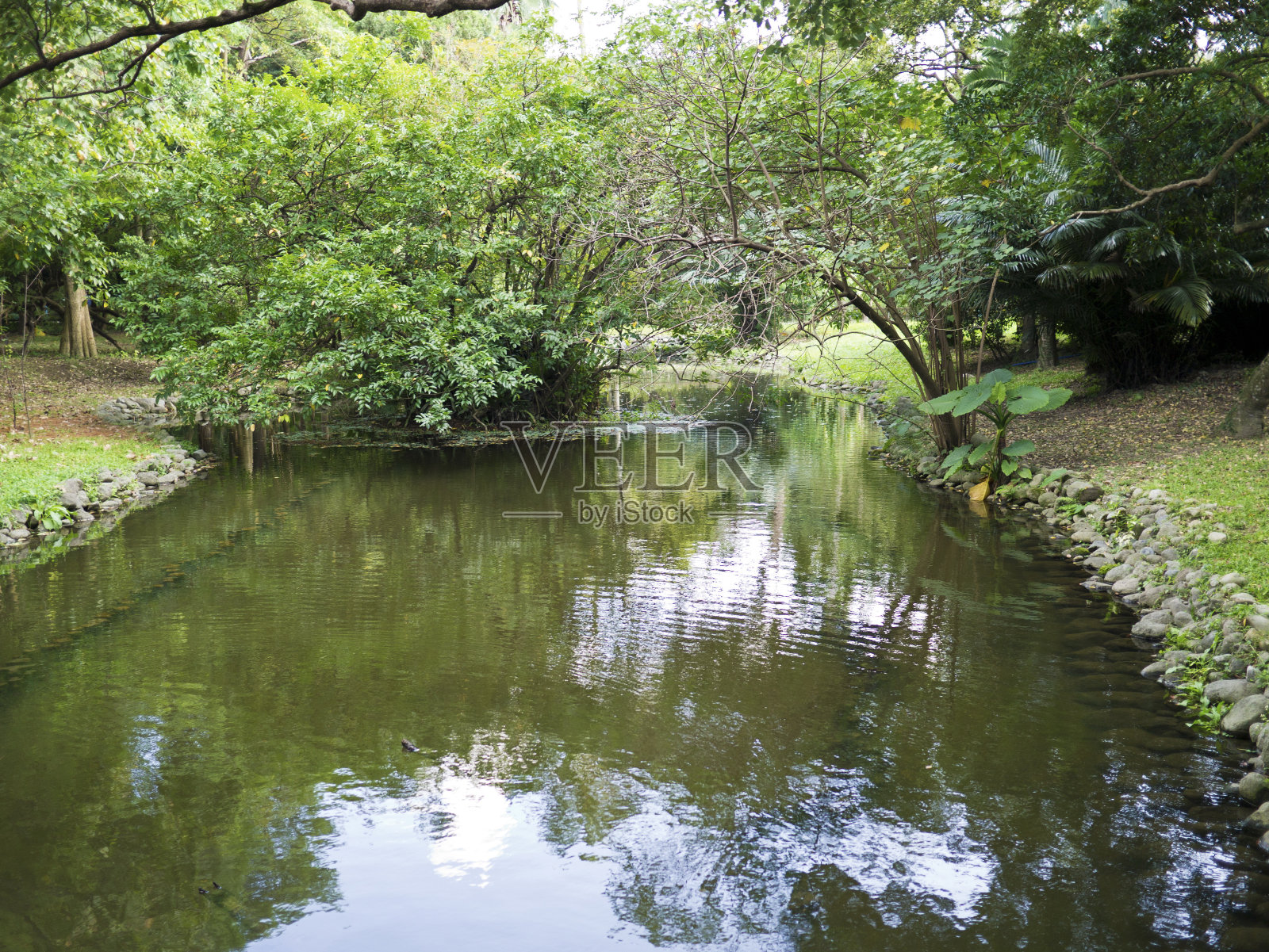 生态区域照片摄影图片