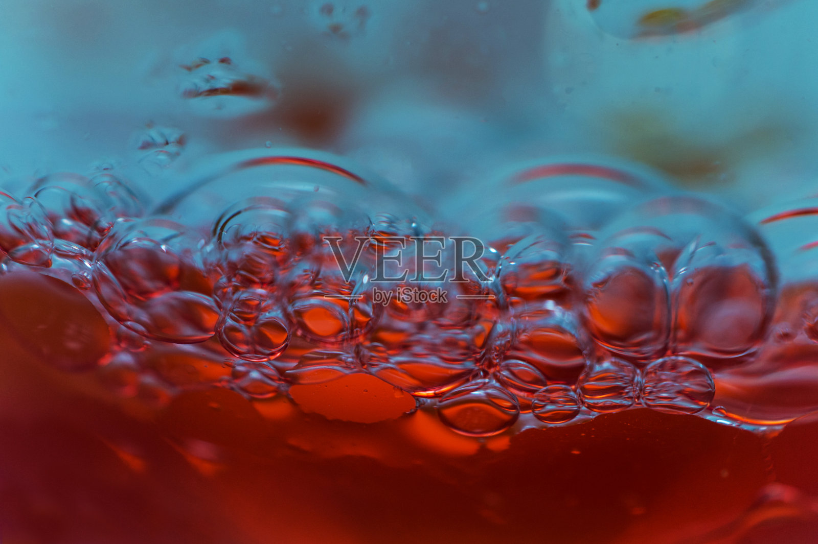 红色和蓝色气泡宏观照片摄影图片