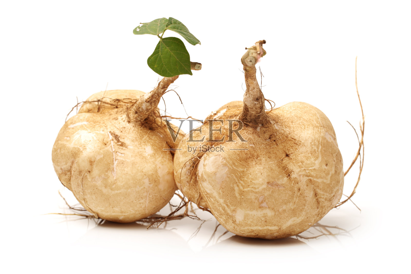 整个豆薯照片摄影图片