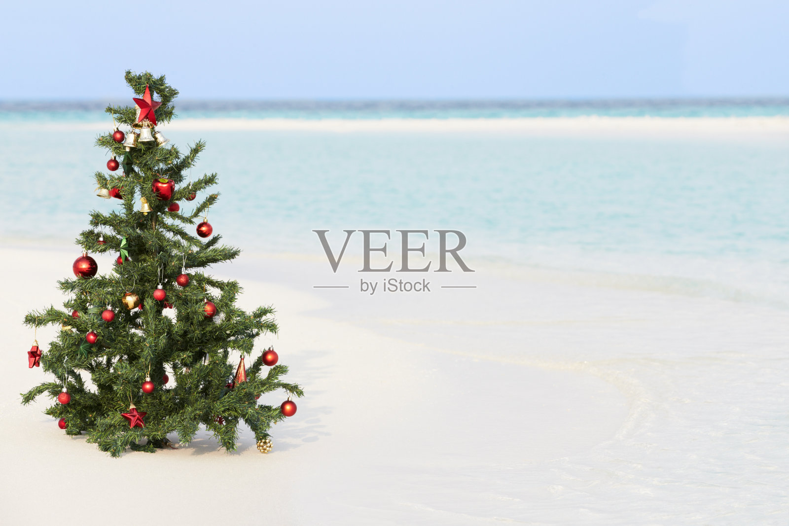 美丽的热带海滩上的圣诞树照片摄影图片
