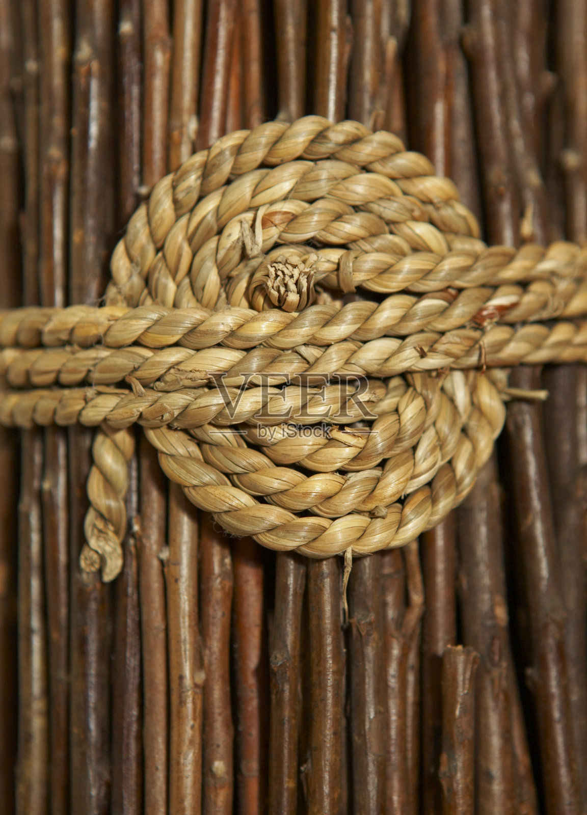 结婚照片摄影图片