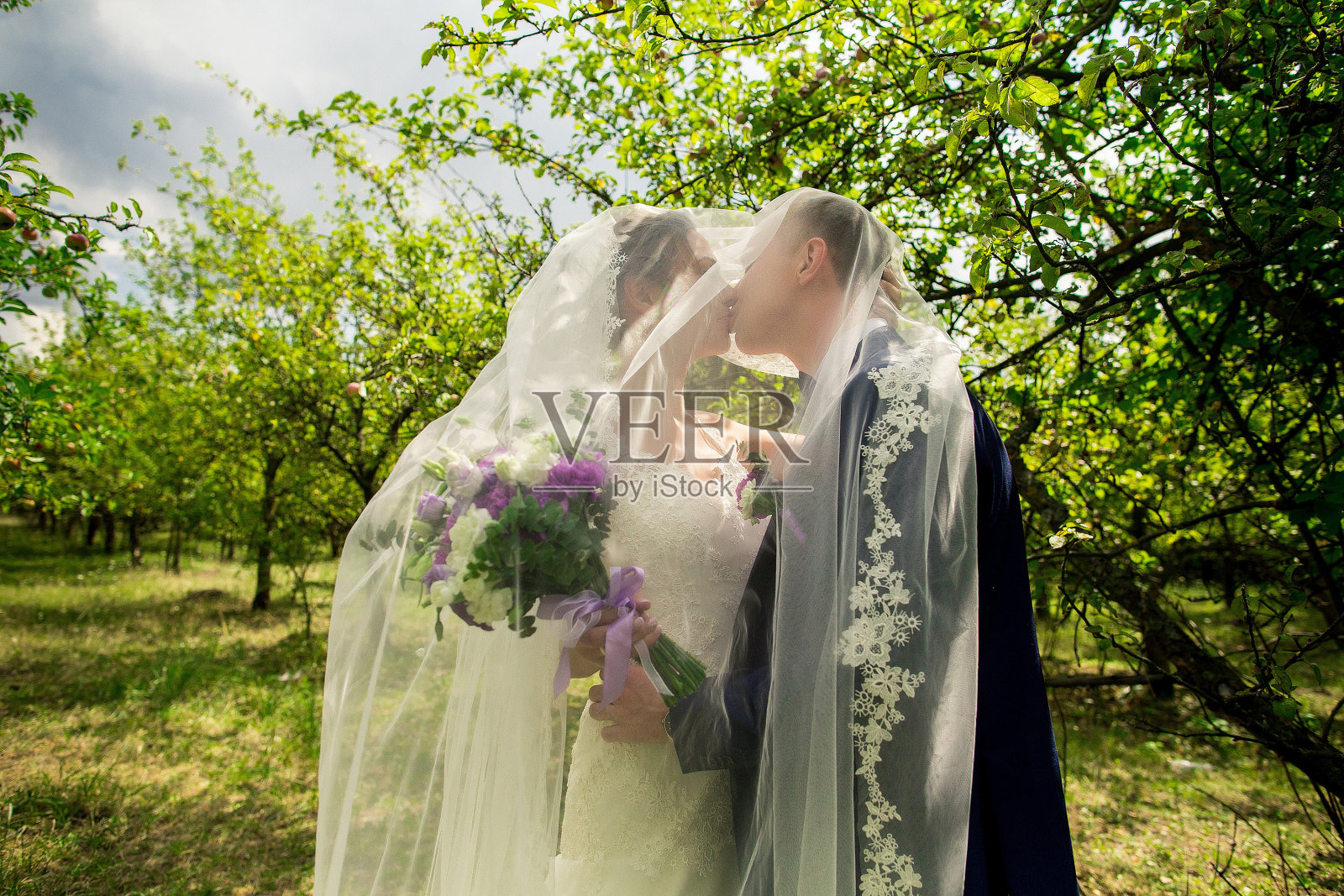 新娘和新郎在公园接吻。照片摄影图片