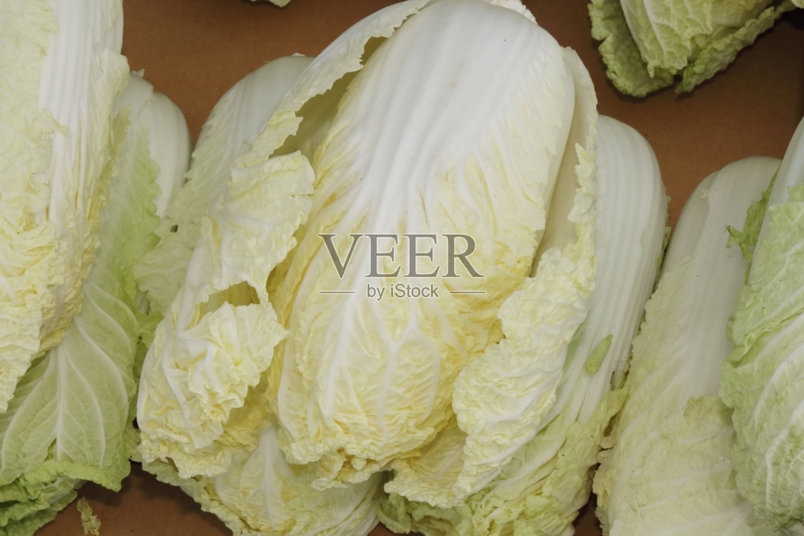 白菜照片摄影图片