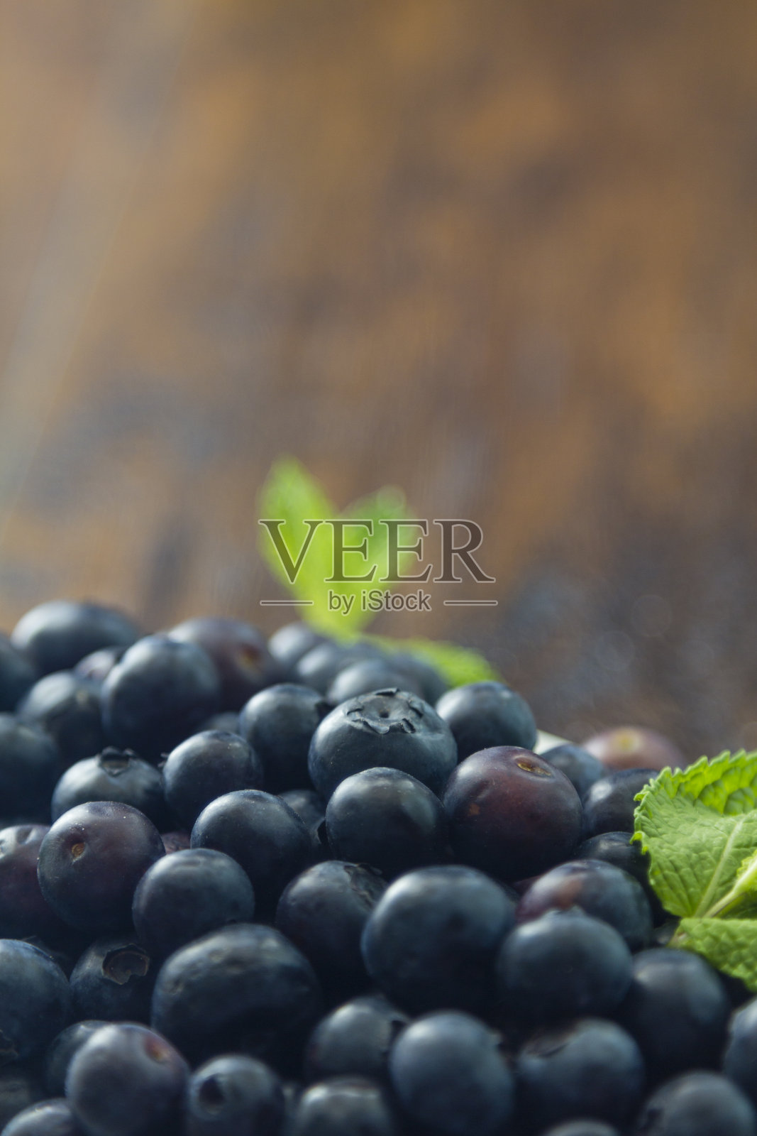 新鲜的蓝莓照片摄影图片