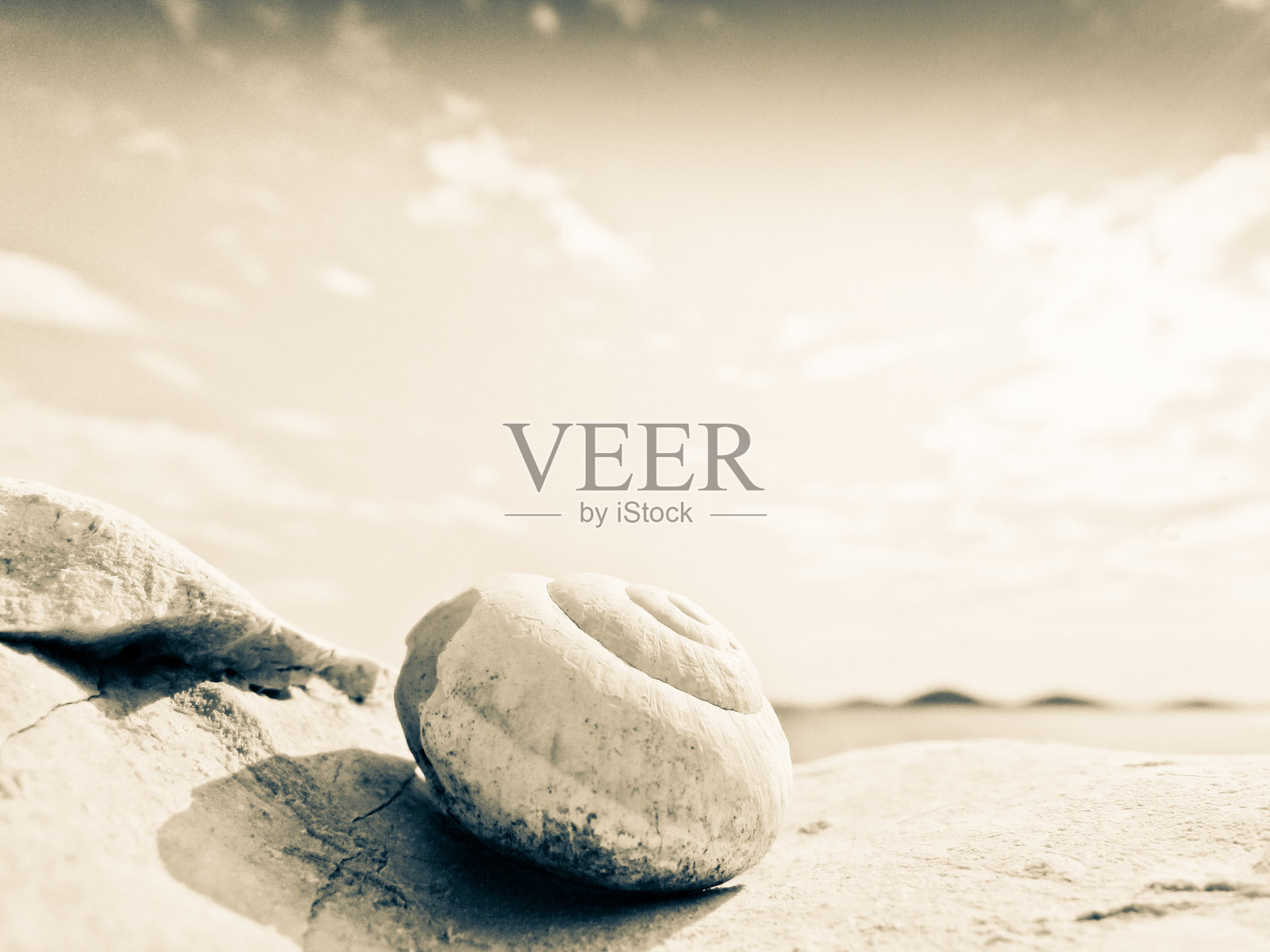 海滩上的蜗牛屋照片摄影图片