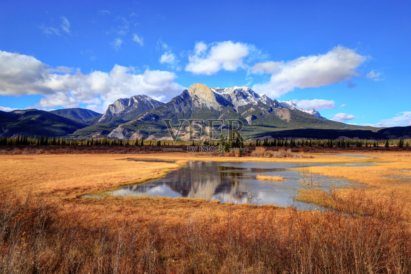 金色的秋天的颜色照片摄影图片