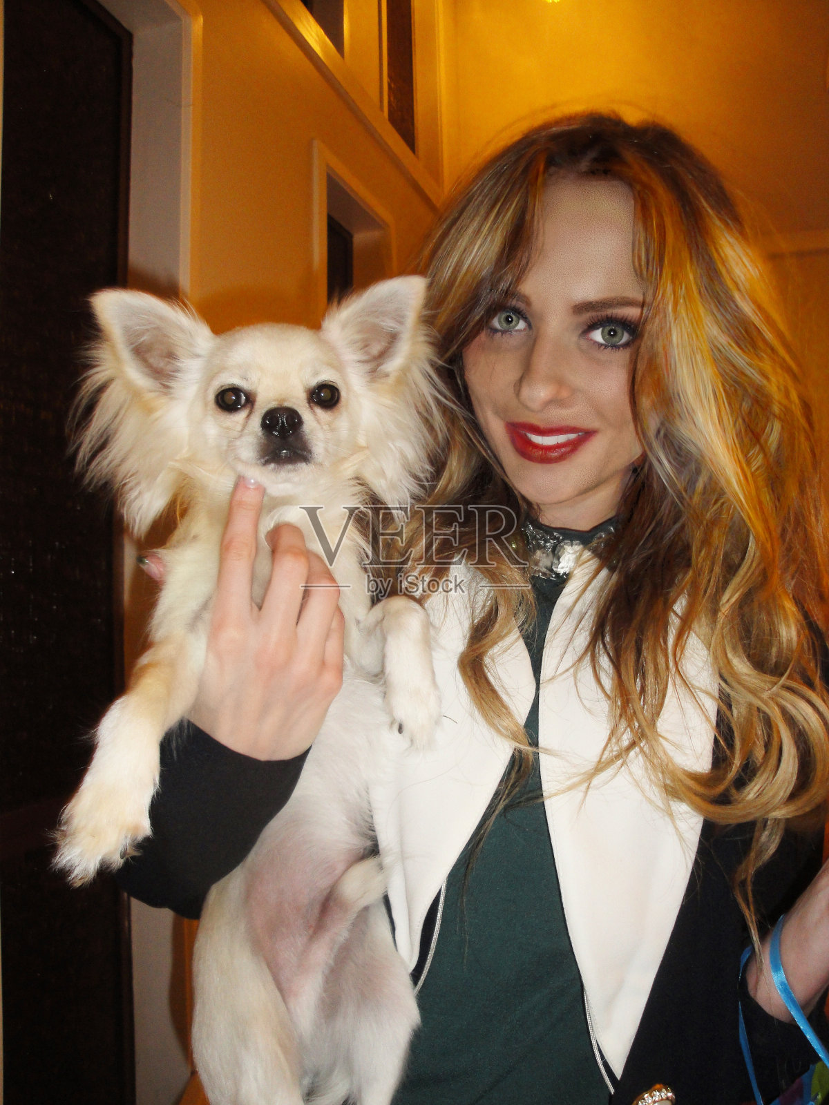 两个魅力的小狗照片摄影图片