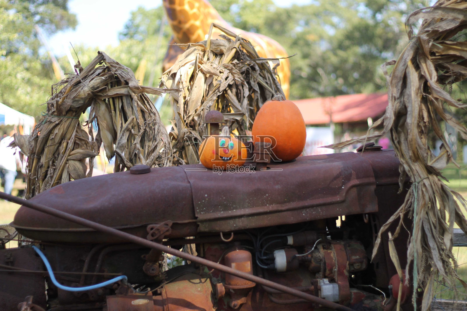 拖拉机上的南瓜照片摄影图片
