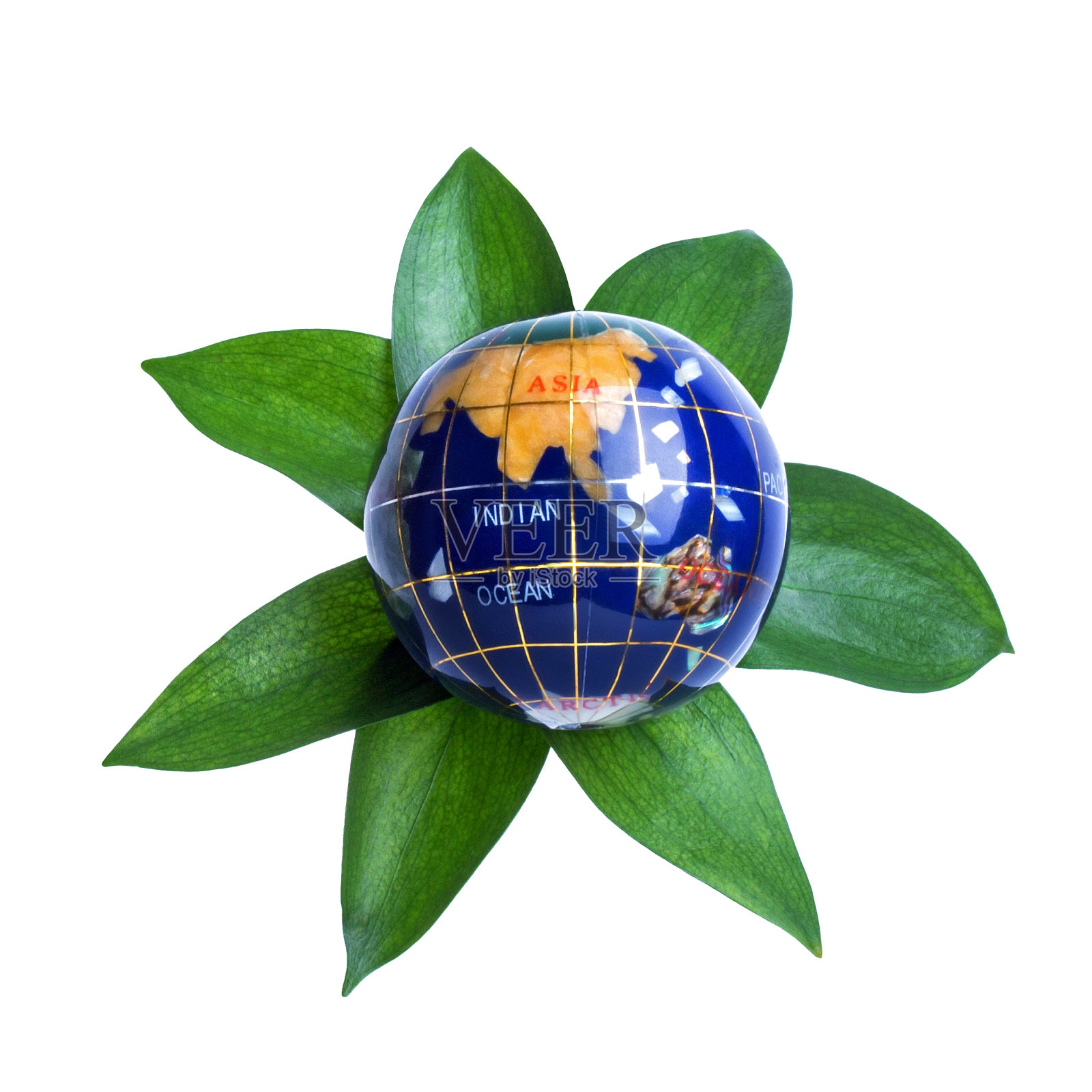 生态学概念,行星在树叶中照片摄影图片