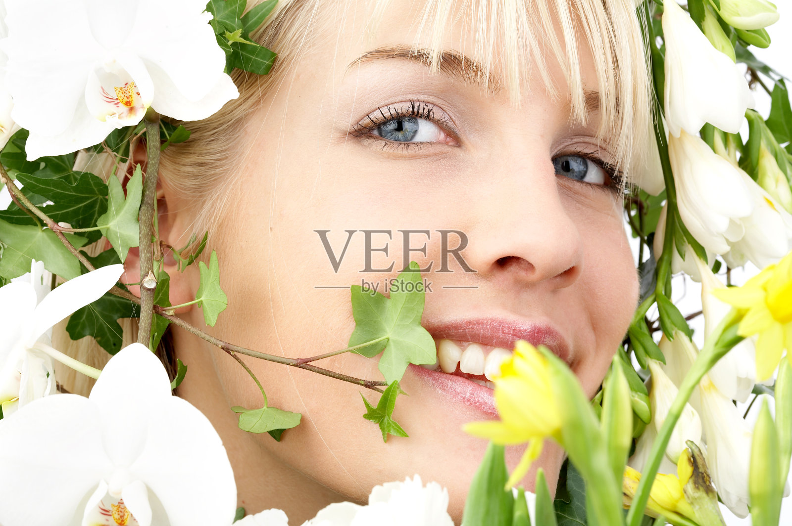 花朵画像照片摄影图片