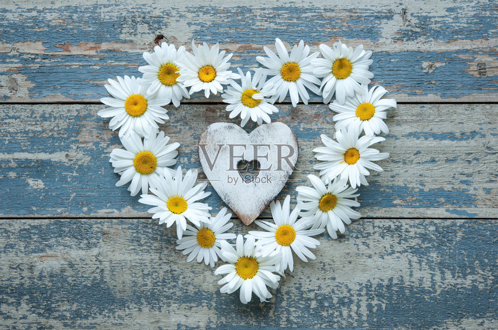 木制背景上的雏菊花照片摄影图片