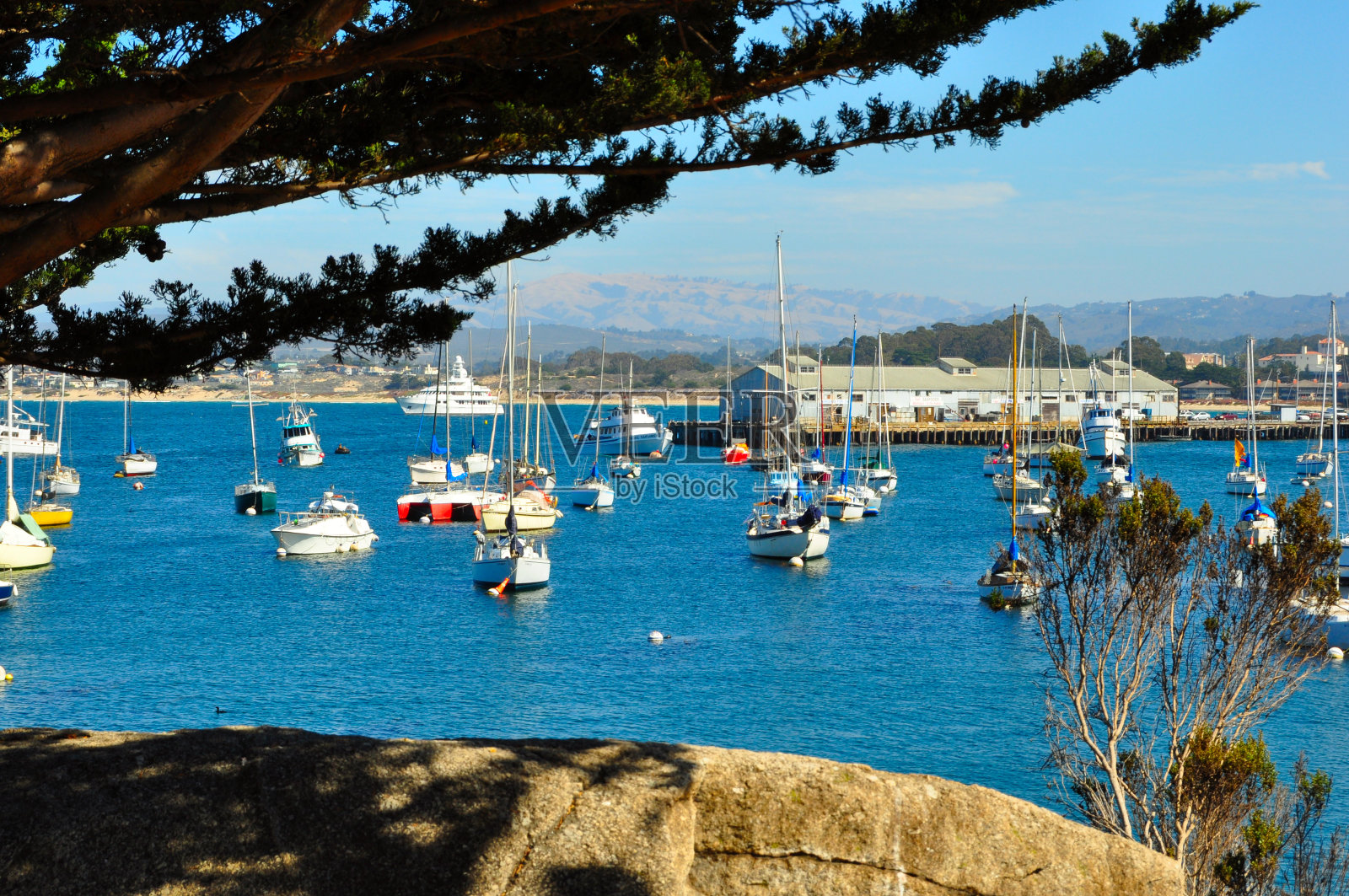 蒙特利滨照片摄影图片