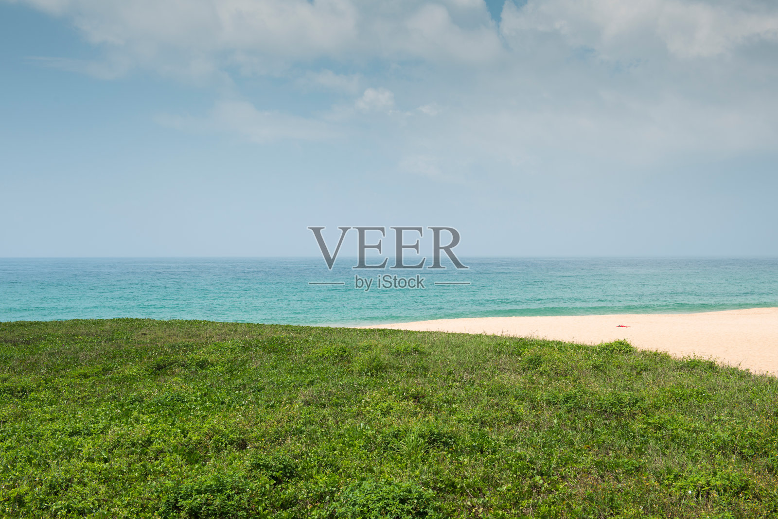 绿草带海滩照片摄影图片