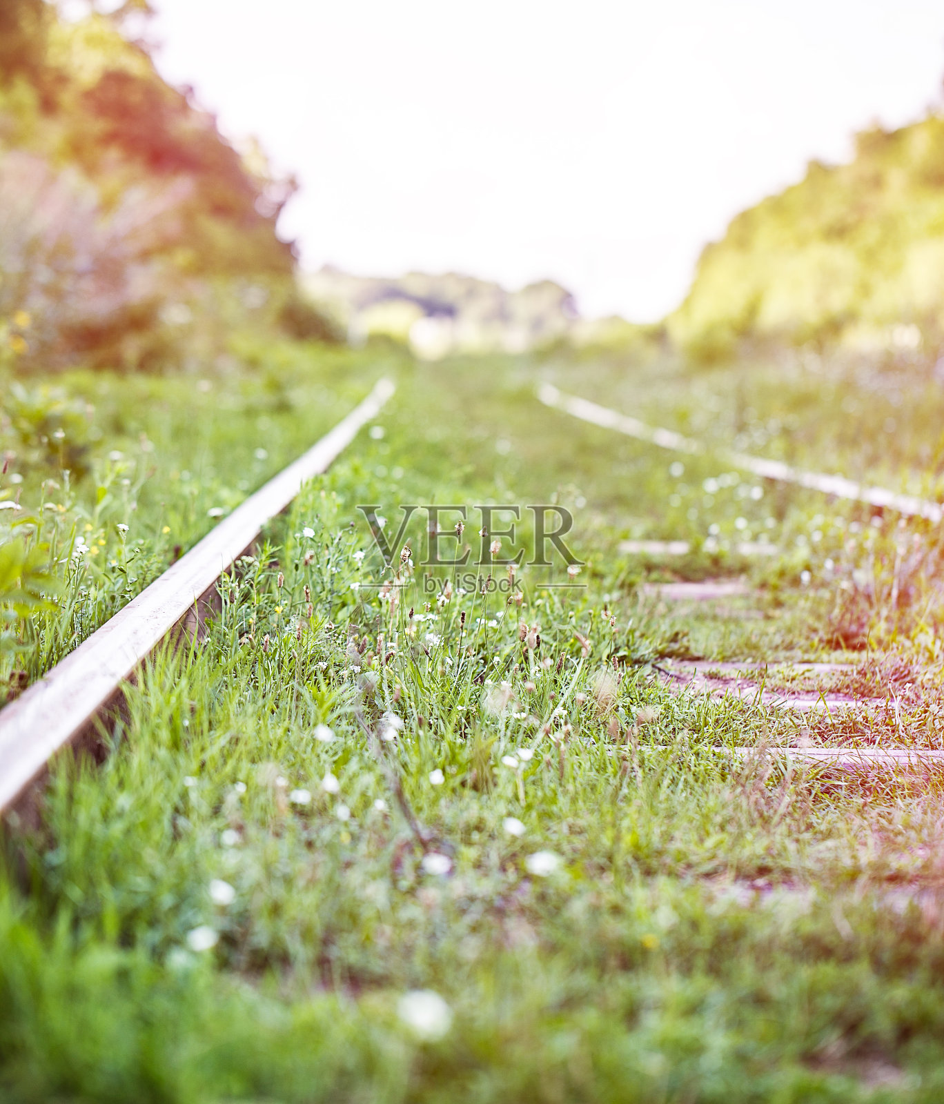 铁路照片摄影图片