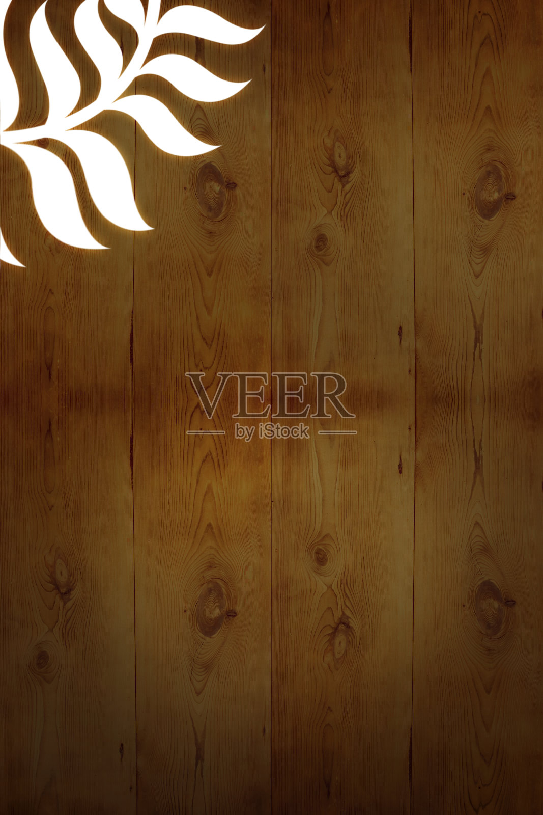 有机性(300dpi XXL叶)照片摄影图片