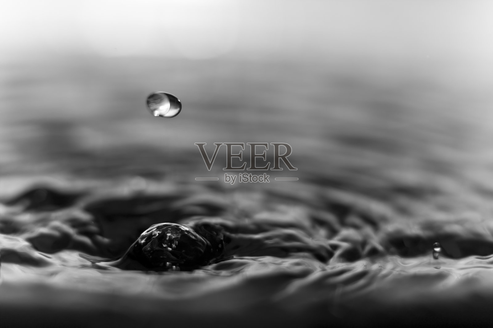 黑色和白色的水滴照片摄影图片