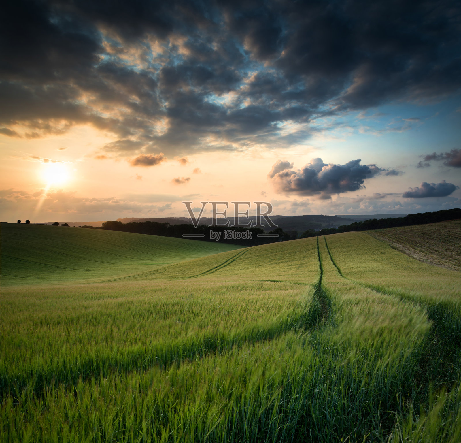 令人惊叹的生机勃勃的日落在农村农业景观谷物田照片摄影图片