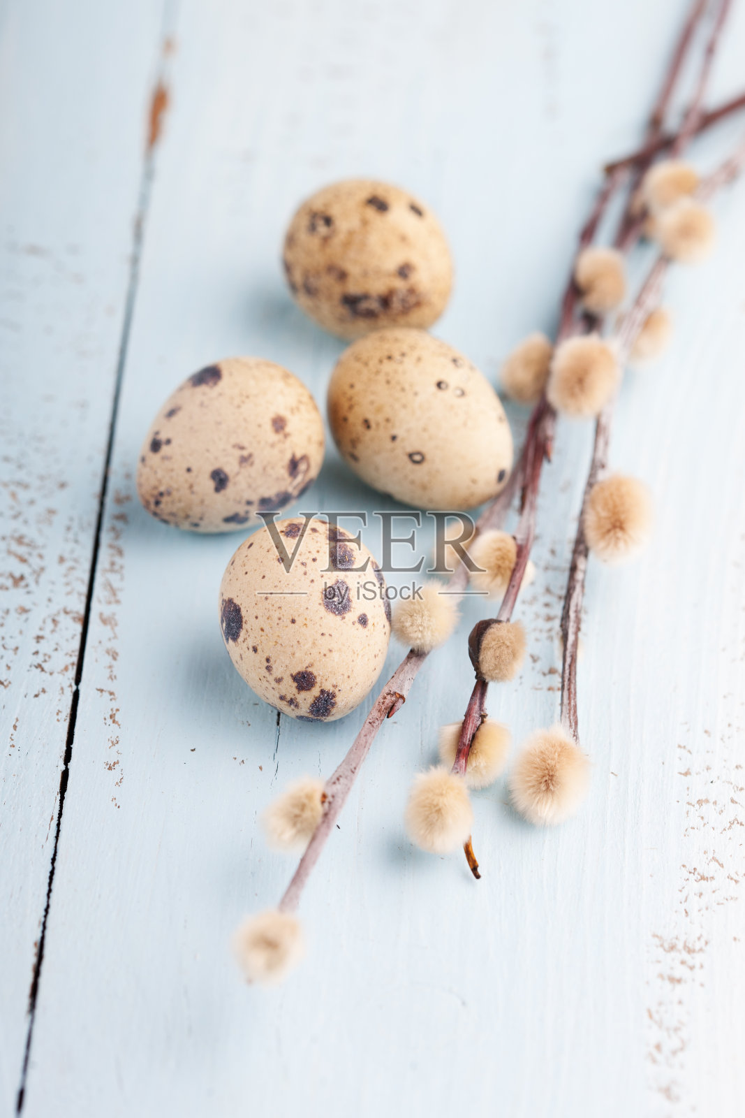 复活节的静物照片摄影图片