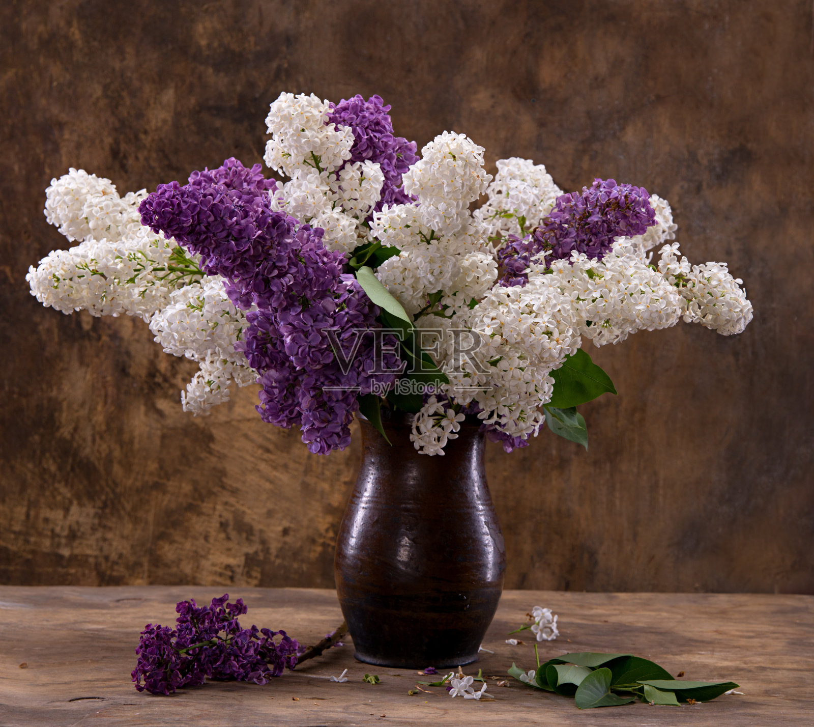 盛开的丁香枝照片摄影图片